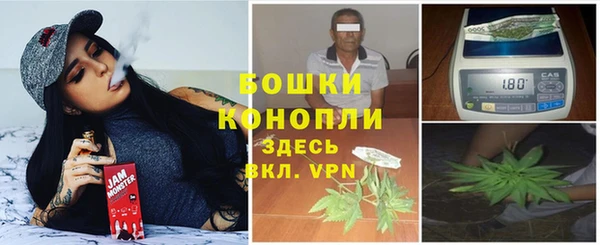 МДПВ Ветлуга