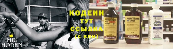 амф Новодвинск