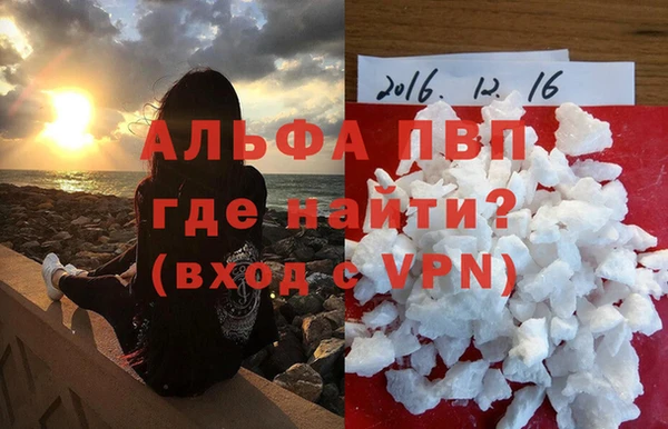 хмурый Нефтекумск