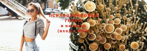 МДПВ Ветлуга