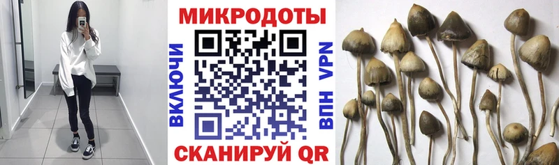 наркотики  Переславль-Залесский  Галлюциногенные грибы мухоморы 