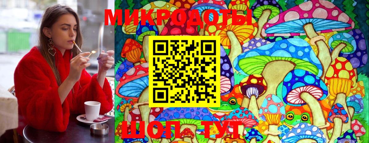 как найти закладки  Вход с VPN  Псилоцибиновые грибы мухоморы  Переславль-Залесский  Псилоцибиновые грибы GOLDEN TEACHER 