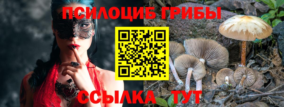 Псилоцибиновые грибы мицелий Переславль-Залесский